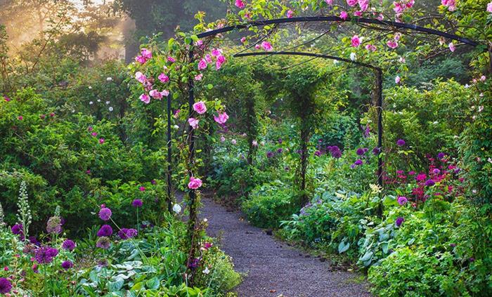Rose Garden